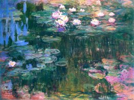 Water Lilies