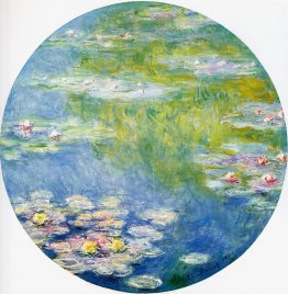 Water Lilies