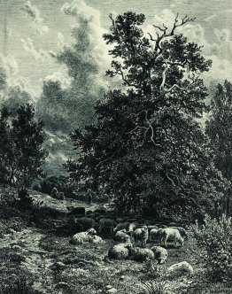 Herd of sheep on the forest edge