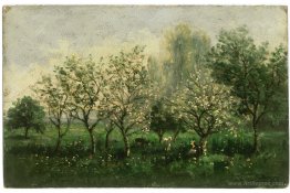 Apple Trees in Blossom