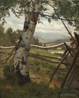 Summer Landscape with birch