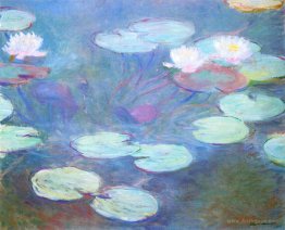 Water Lilies, Pink