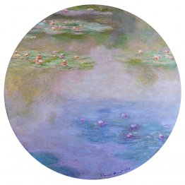 Water Lilies