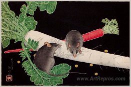 Japanese Radish, Rats, and Carrot