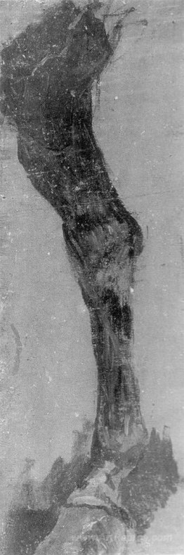 Study of a horse's leg for the Fairman Rogers Four in Hand