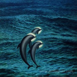 Saint Dolphins