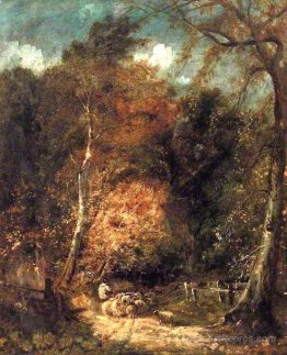 Wooded Landscape