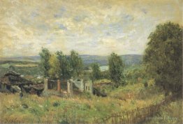 Landscape in Summer