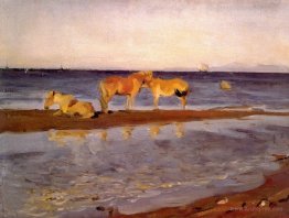 Horses on a Shore