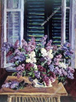 Still Life. Lilac against the green shutters.