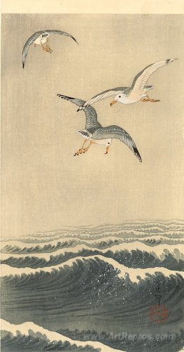 Seagulls over the Waves