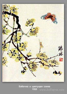 Butterfly and flowering plum 