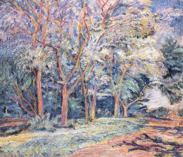 Landscape with trees