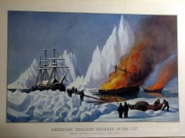 American Whalers Crushed in the Ice