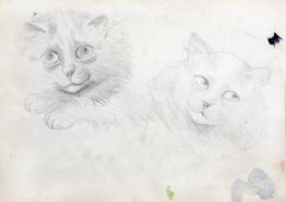 SKETCHES OF BURMESE CATS