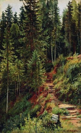 The path in the forest