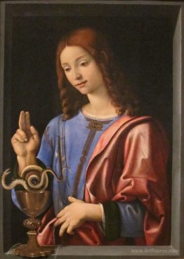 St. John the Evangelist