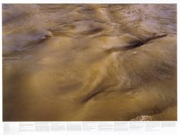 Untitled (from the series Still Water (The River Thames, for Exa