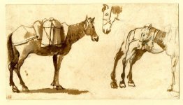 Drawing of mules, including one full length