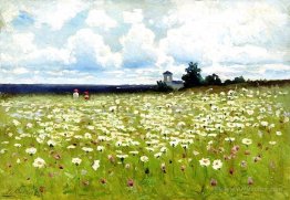 Field of Daisies