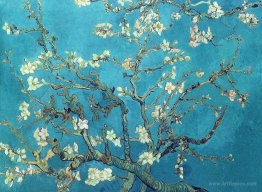 Branches with Almond Blossom