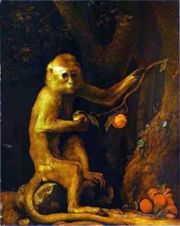 Portrait of a Monkey