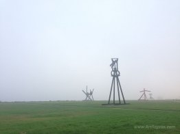 Crissy Field