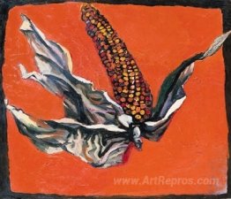 Corn on the red background