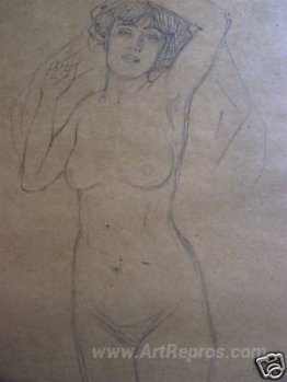 Nude Drawings