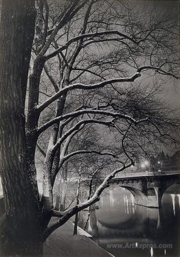 Les arbres des quais avec le Pont-Neuf