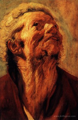 Study of the head of Abraham Grapheus