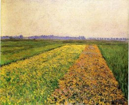 The Yellow Fields at Gennevilliers