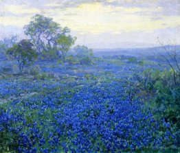 A Cloudy Day, Bluebonnets near San Antonio, Texas