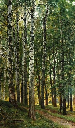 Birch Grove