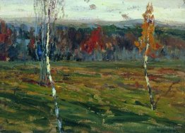 Autumn. Birches.