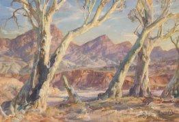 Flinders Ranges landscape