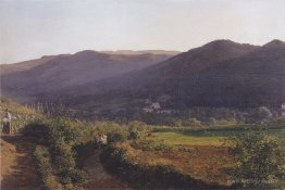 Mountain landscape with vineyard