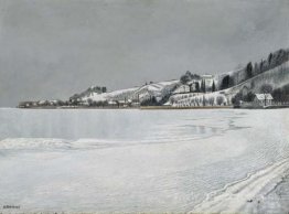 Gray winter landscape near Mannenbach