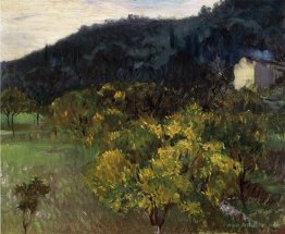 Landscape near Grasse