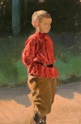 Study of boy