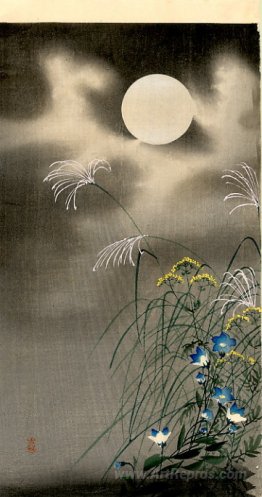 Moon and Blue Flowers