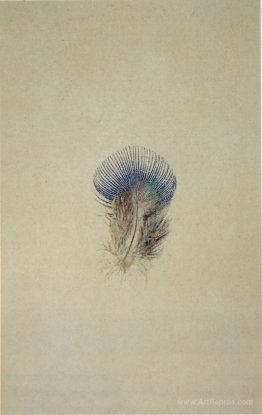 Study of a Peacock's Breast Feather