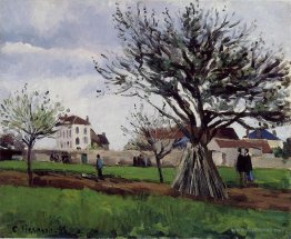 Apple Trees at Pontoise