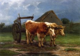 Oxen Pulling a Cart