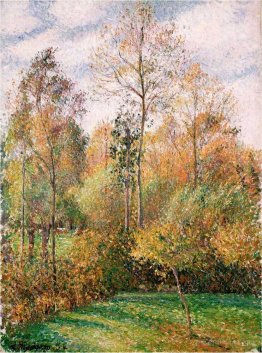 Autumn, Poplars