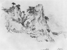 Pines on the cliffs. Alupka