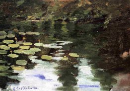 Yerres, on the Pond, Water Lilies