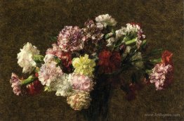 Carnations