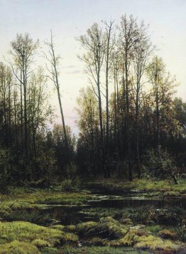 Forest in spring