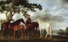 Mares and Foals in a River Landscape